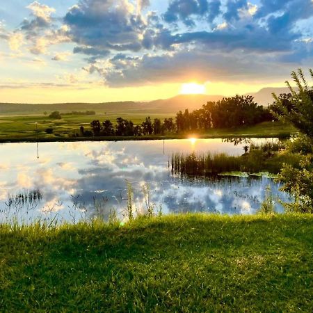 Grey Goose Game Lodge Newcastle Exteriör bild